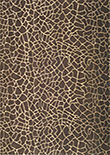 Design AP-92